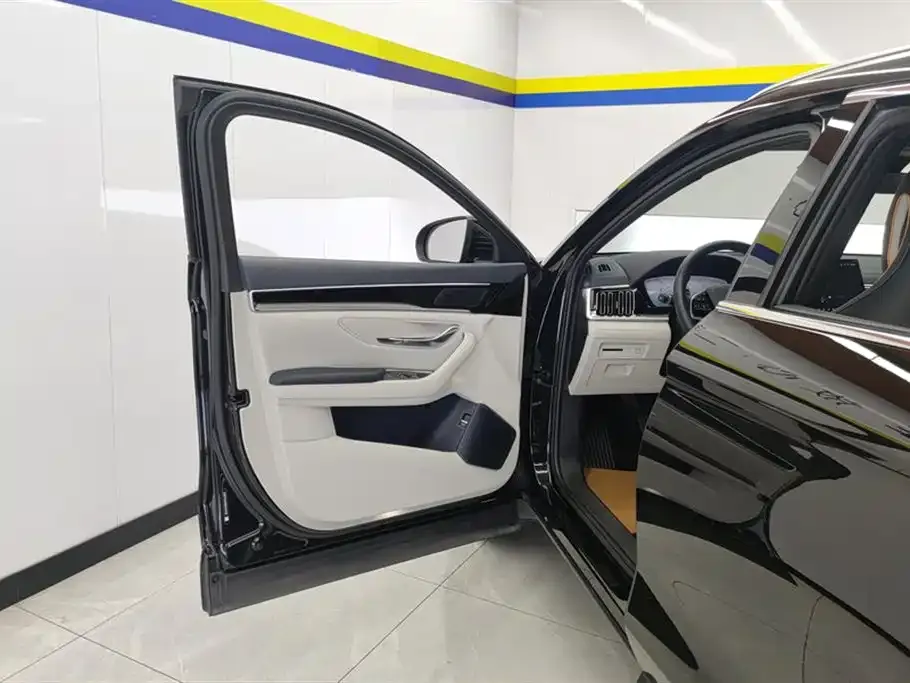 BYD PLUS New Energy 2024 из CN, фото 4