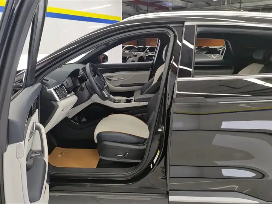 BYD PLUS New Energy 2024 из CN, фото 10