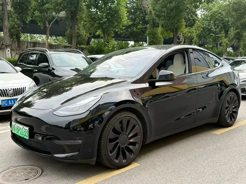 Tesla Model Y — фото 1