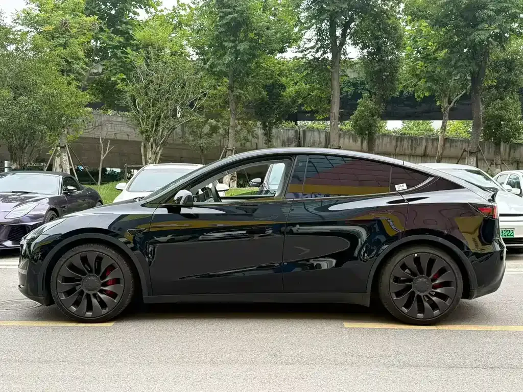 Tesla Model Y — фото 3