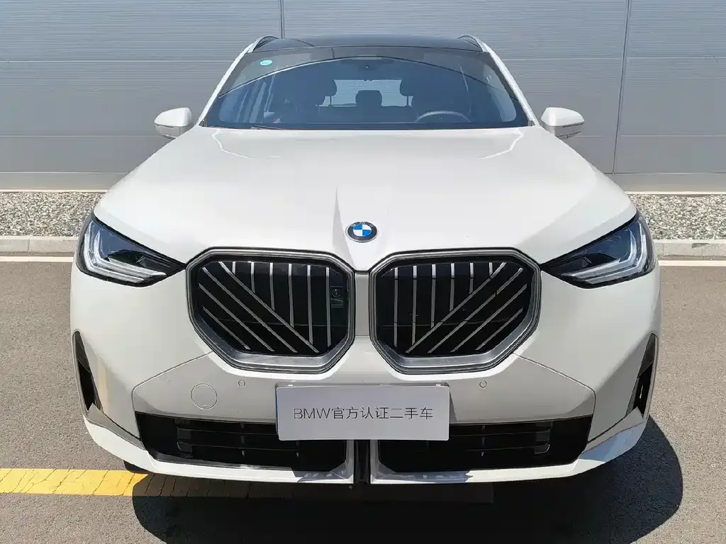 BMW X3 2025 из CN, фото 2