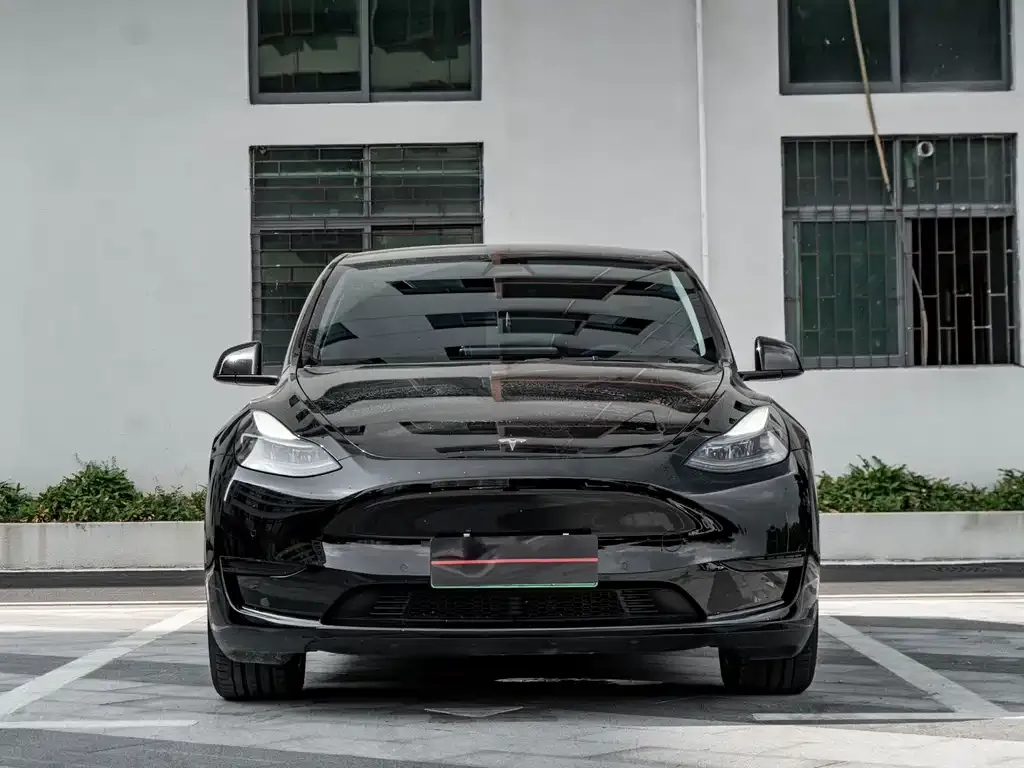 Tesla Model Y — фото 9