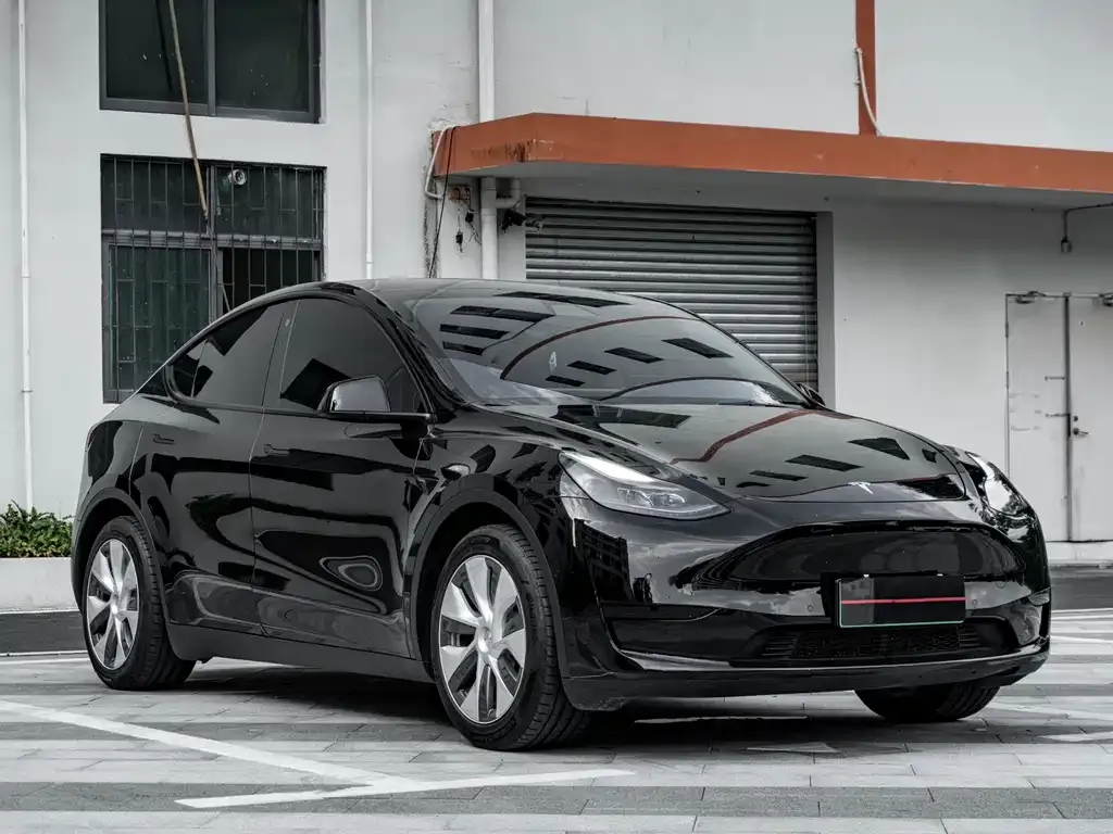 Tesla Model Y — фото 10
