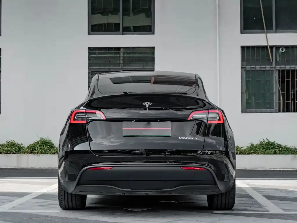Tesla Model Y — фото 8