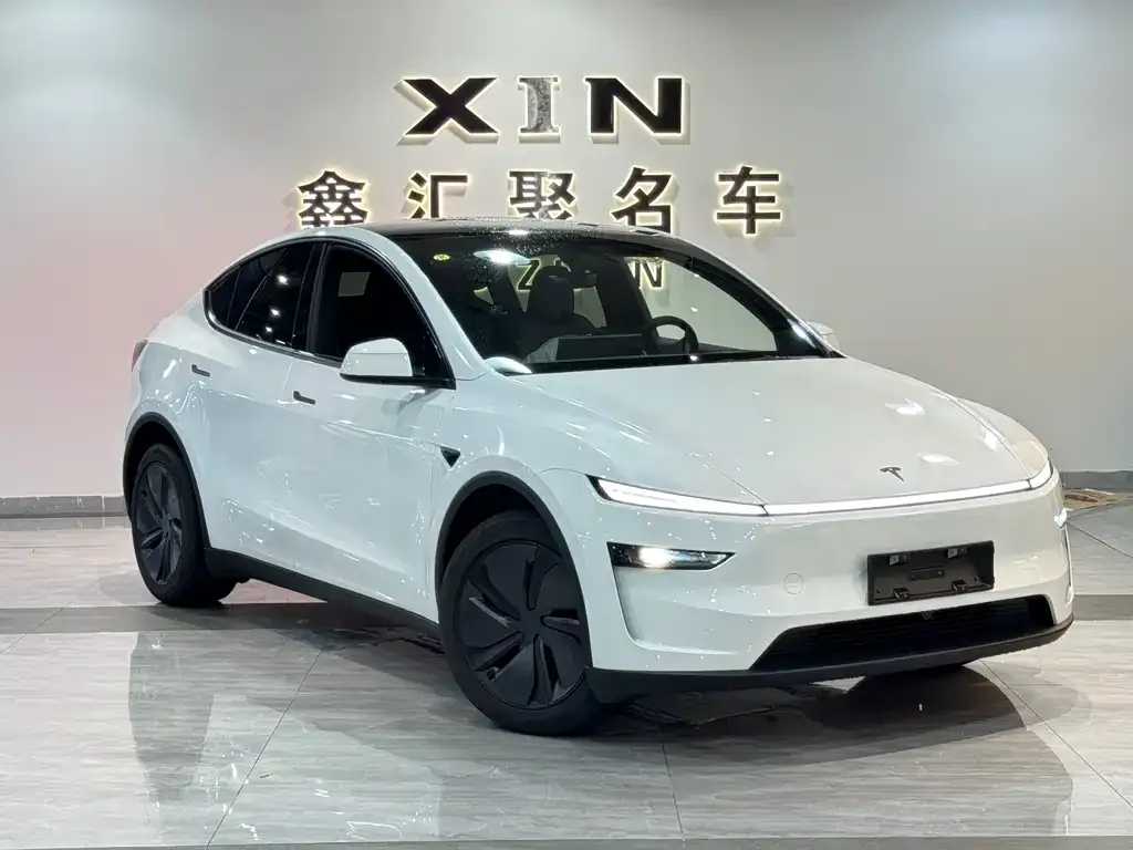 Tesla Model Y — фото 10