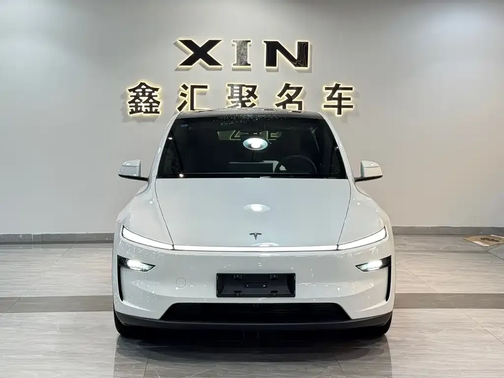 Tesla Model Y — фото 5