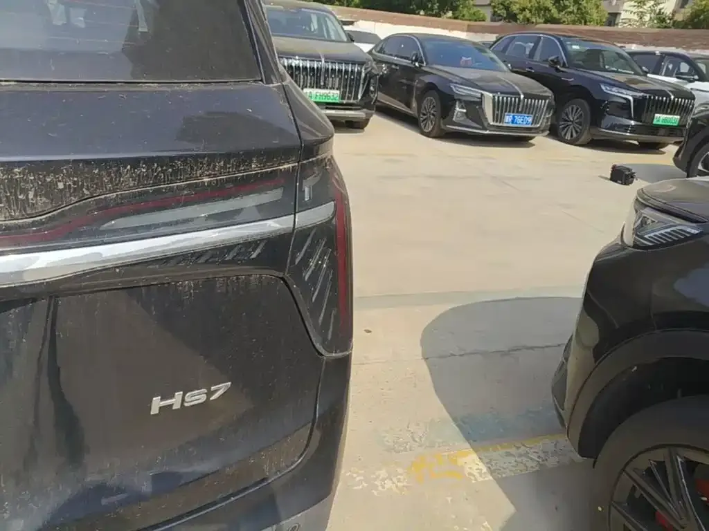 Hongqi HS7 PHEV — фото 10
