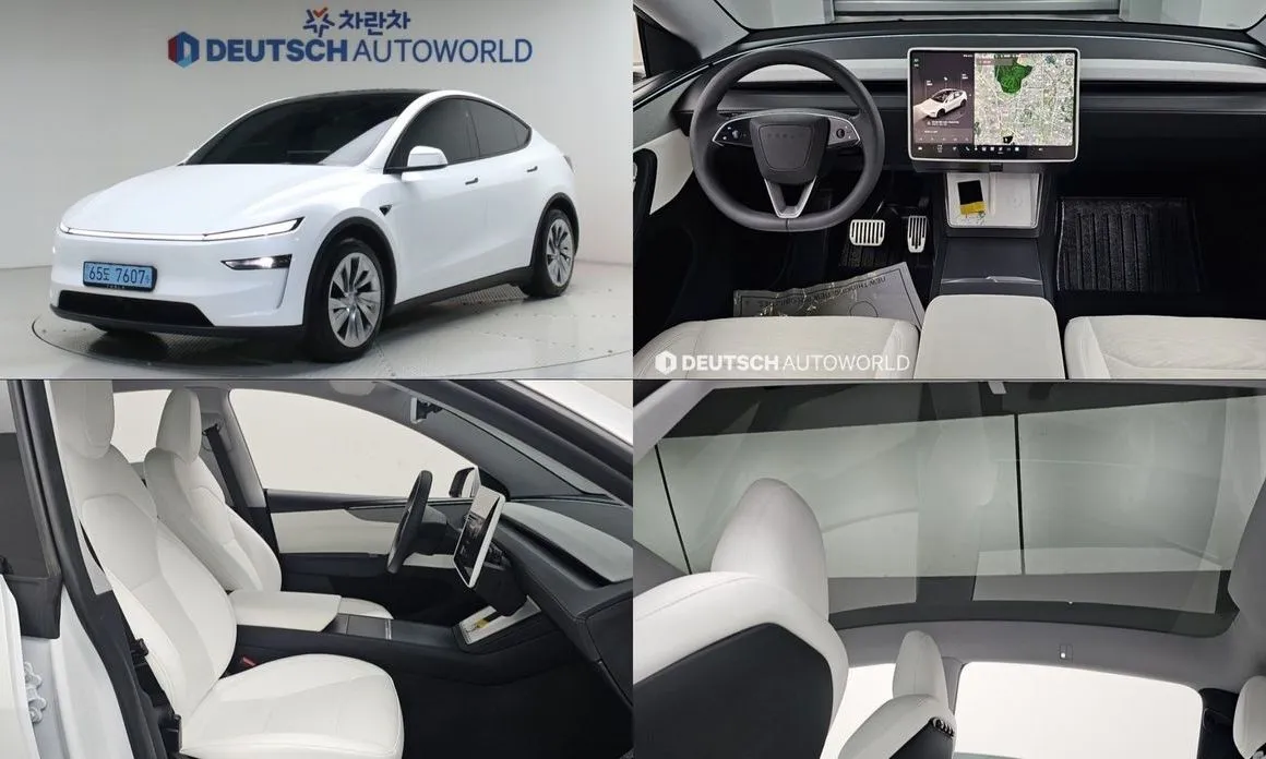 Tesla Model Y — фото 1