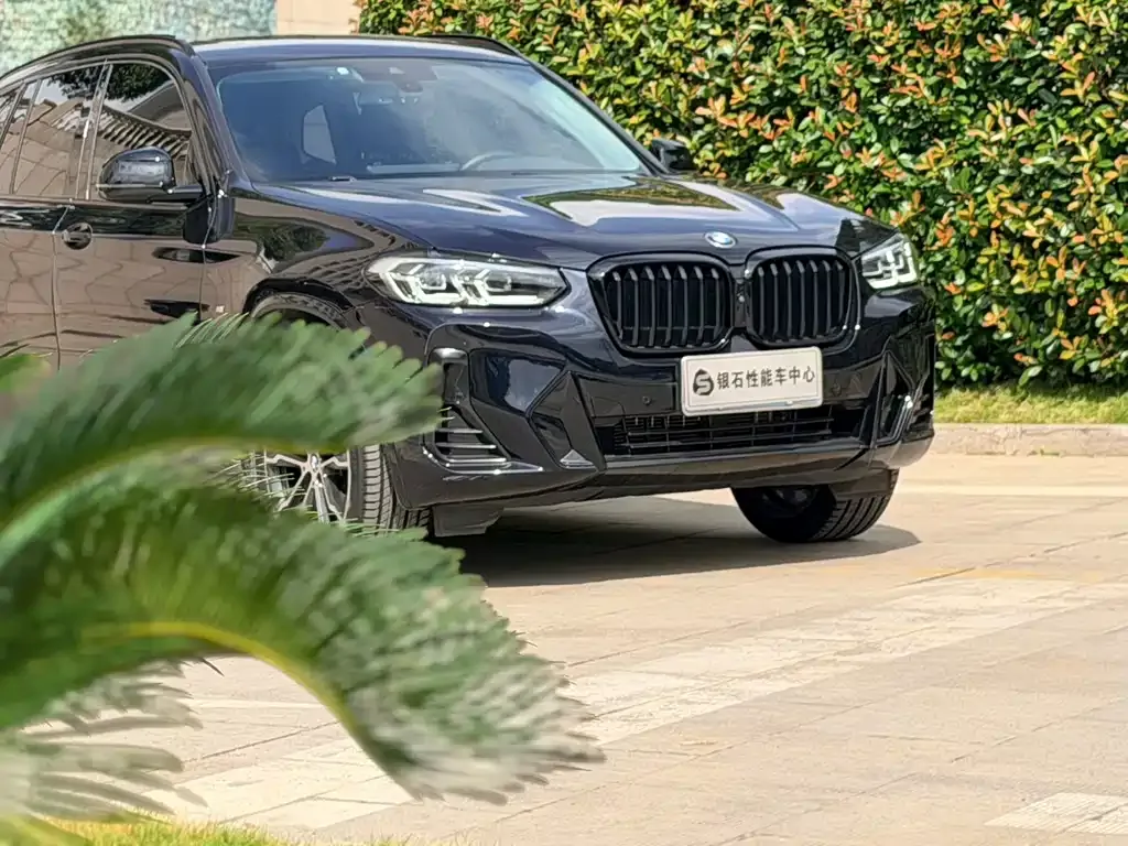 BMW X3 — фото 10
