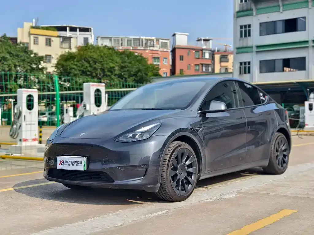 Tesla Model Y — фото 1