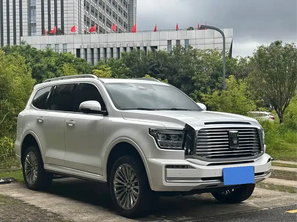 Tank 500 New Energy 2023 из CN, фото 5