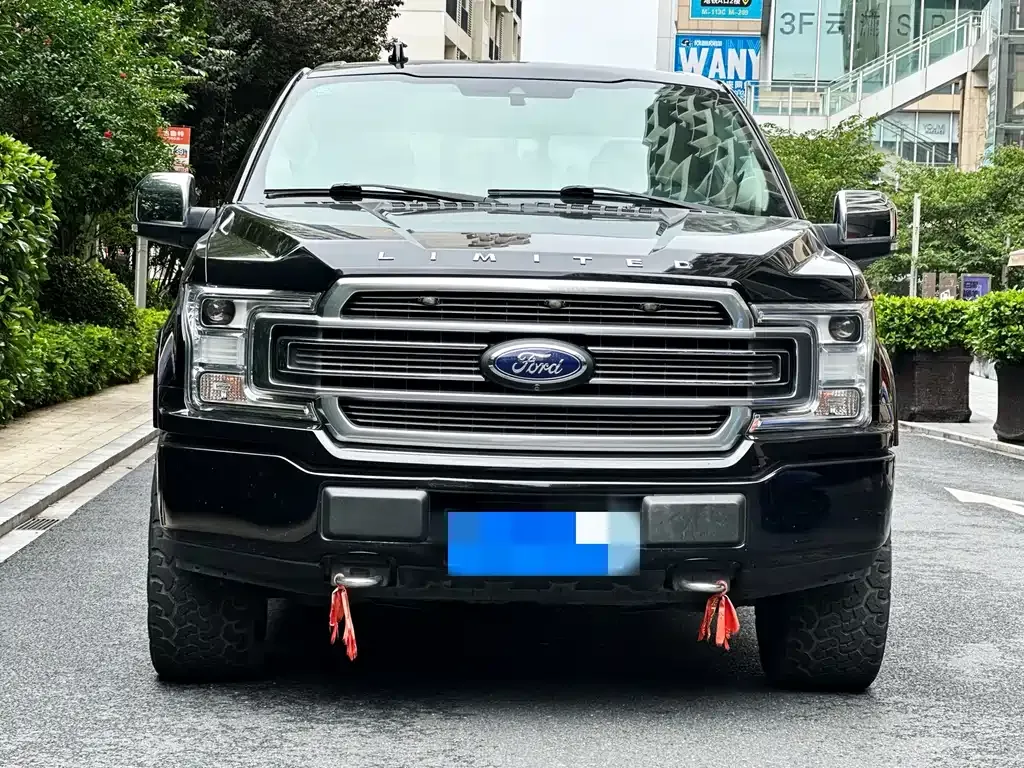 Ford F-150 Raptor 2021 из CN, фото 4