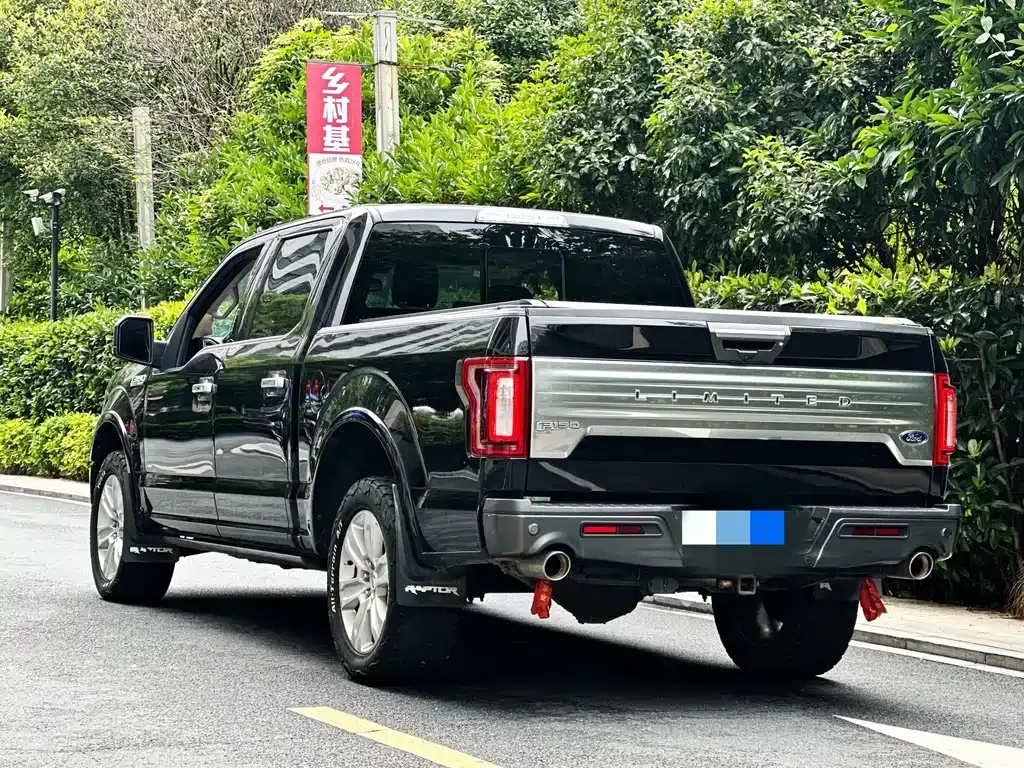 Ford F-150 Raptor 2021 из CN, фото 10