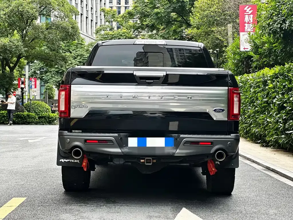 Ford F-150 Raptor 2021 из CN, фото 8