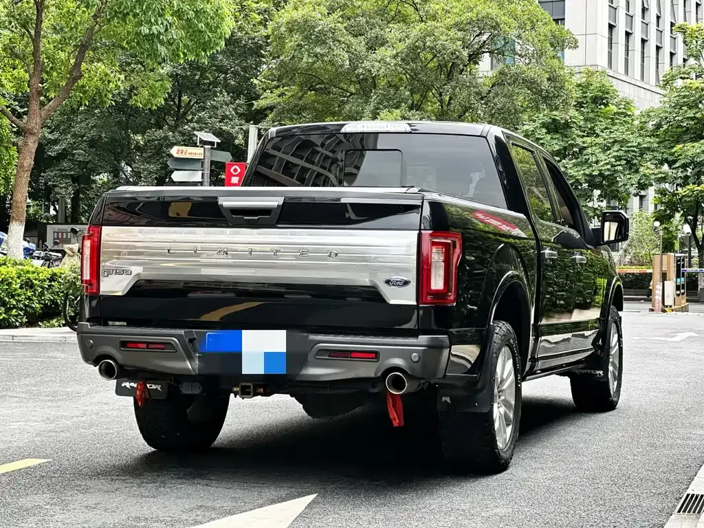 Ford F-150 Raptor 2021 из CN, фото 5