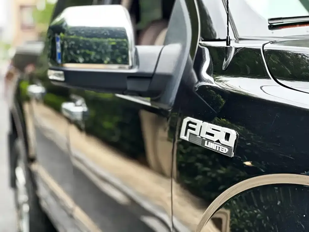 Ford F-150 Raptor 2021 из CN, фото 3