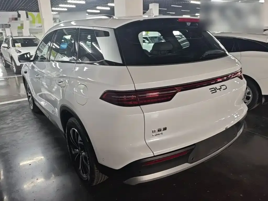 BYD Pro New Energy — фото 9