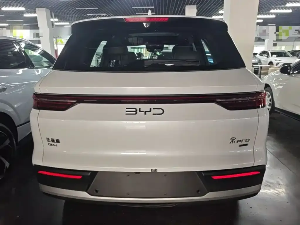 BYD Pro New Energy — фото 2