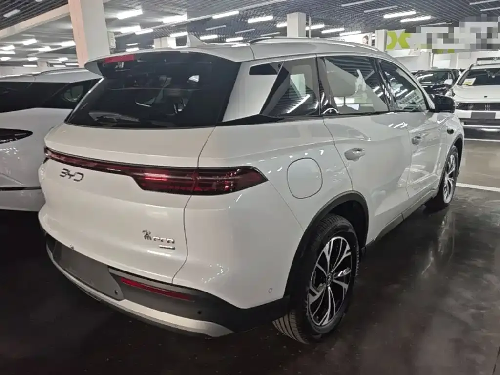 BYD Pro New Energy — фото 8