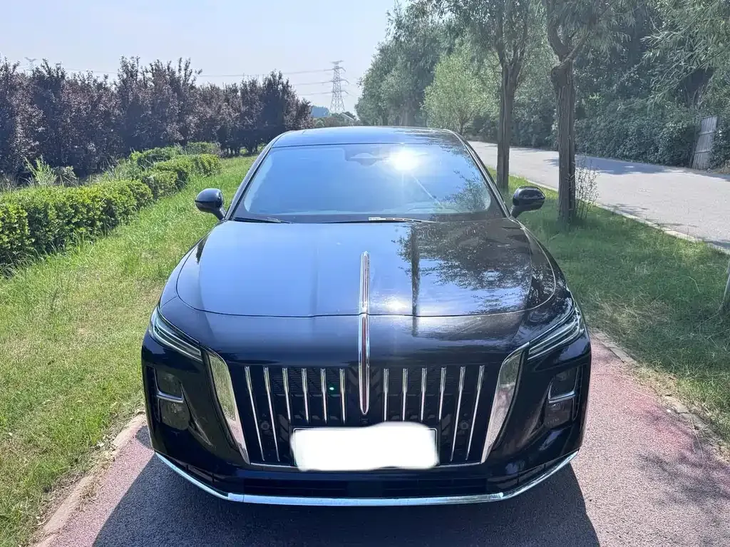 Hongqi H5 PHEV 2025 из CN, фото 4