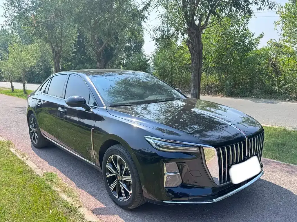 Hongqi H5 PHEV 2025 из CN, фото 8