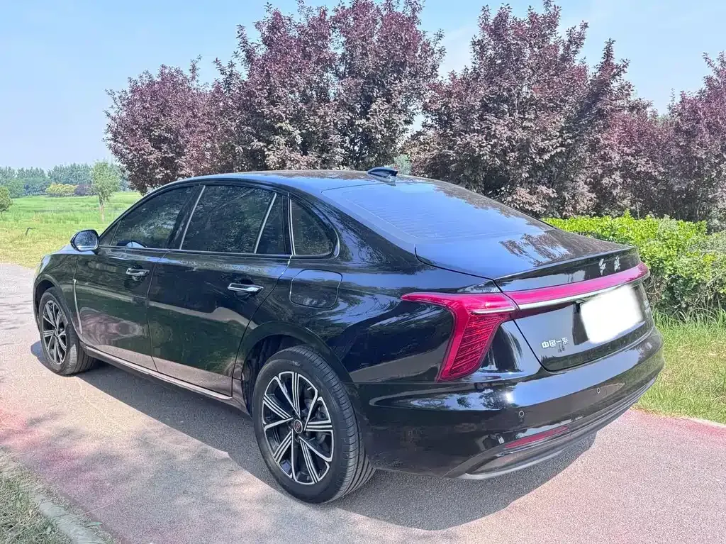 Hongqi H5 PHEV 2025 из CN, фото 9