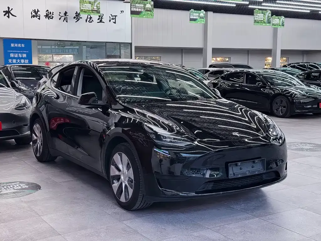 Tesla Model Y — фото 7