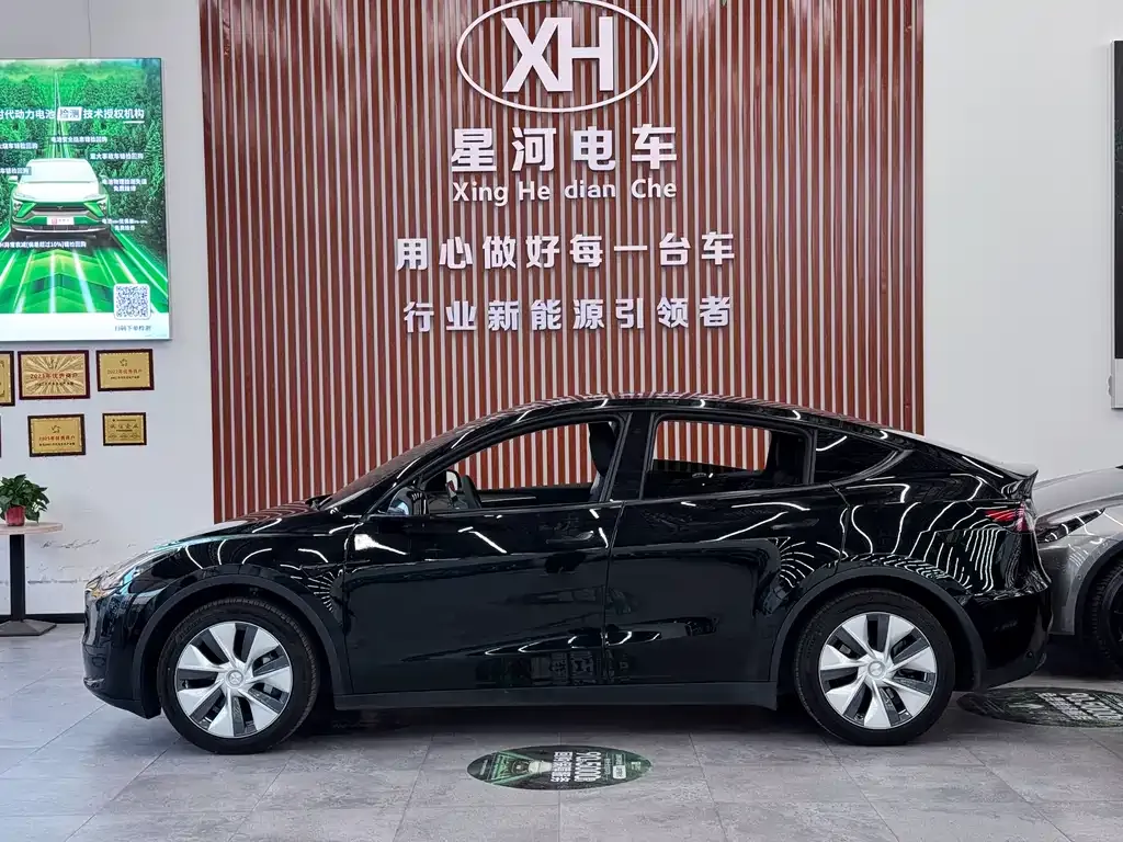 Tesla Model Y — фото 10