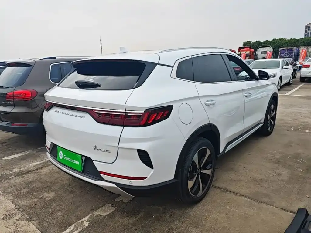 BYD PLUS New Energy — фото 2