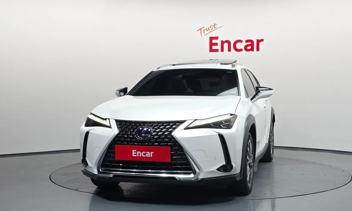 Lexus UX 2022 из KR, фото 4
