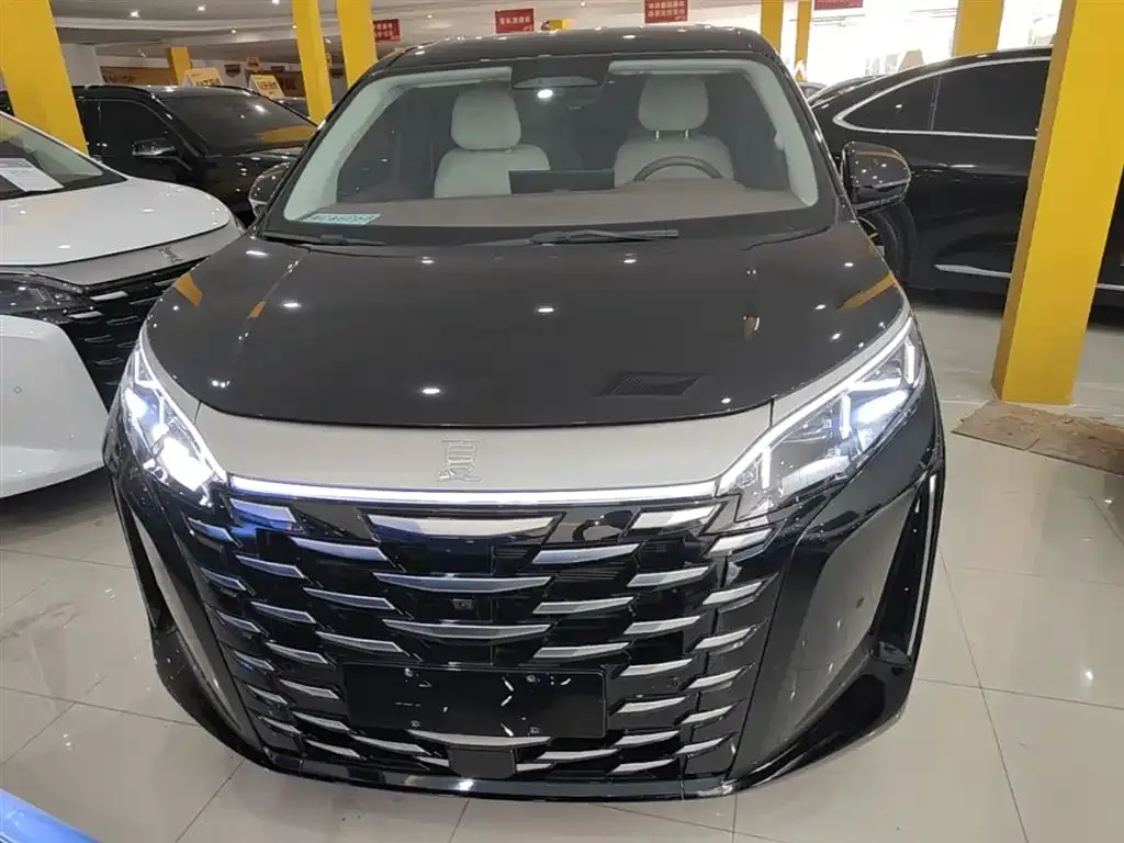BYD Xia 2025 из CN, фото 5