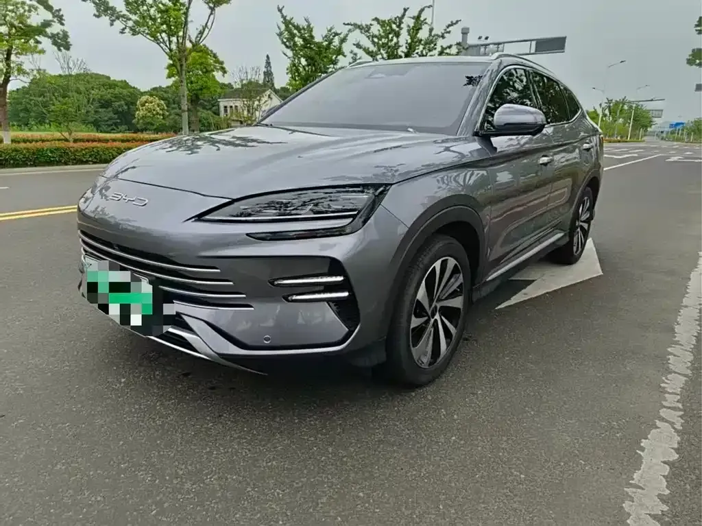 BYD PLUS New Energy — фото 1