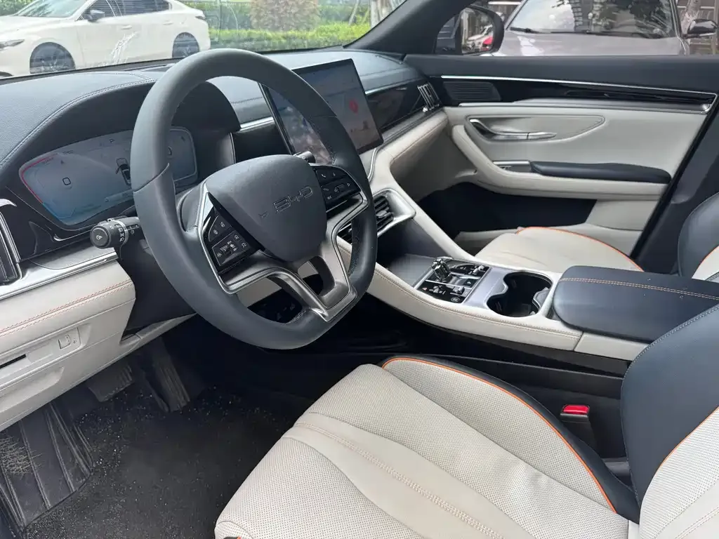 BYD PLUS New Energy — фото 4
