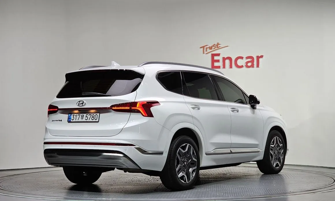 Hyundai Santafe 2022 из KR, фото 8