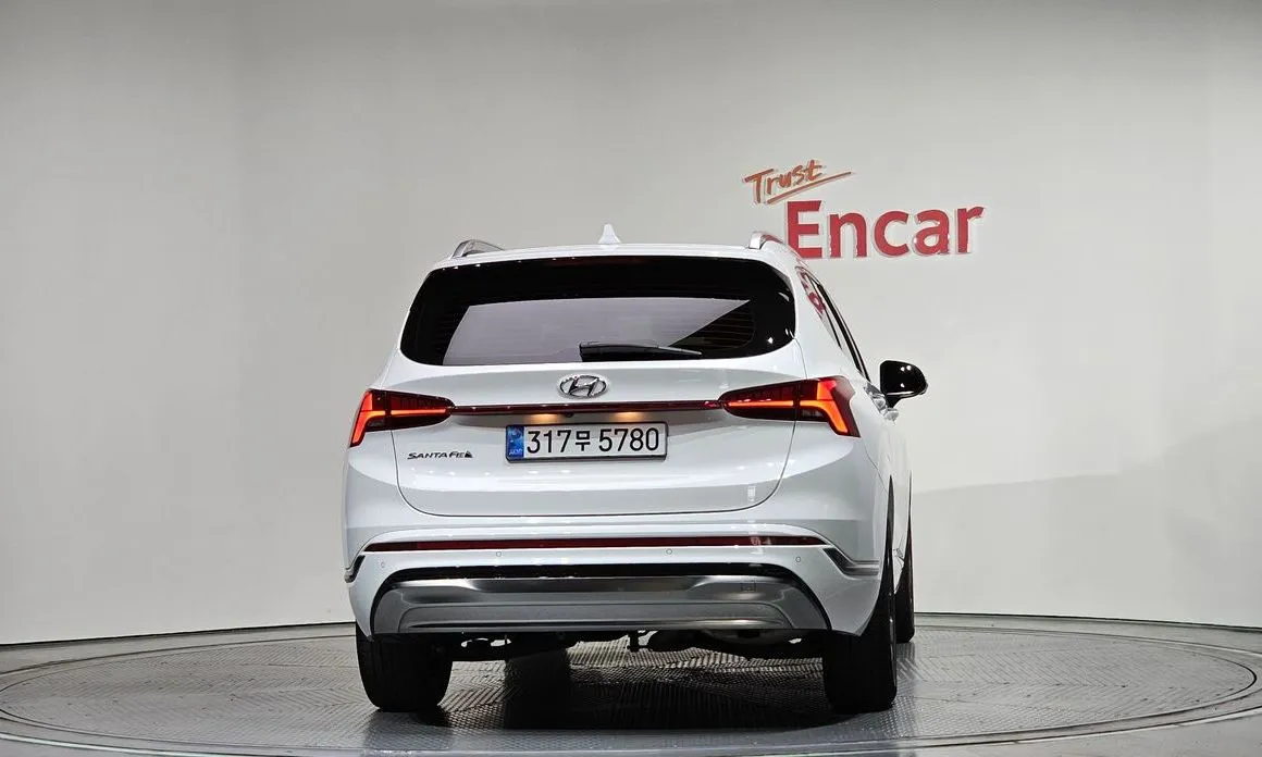 Hyundai Santafe 2022 из KR, фото 9