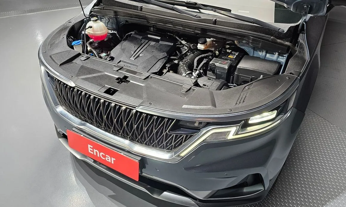 Kia Carnival — фото 10