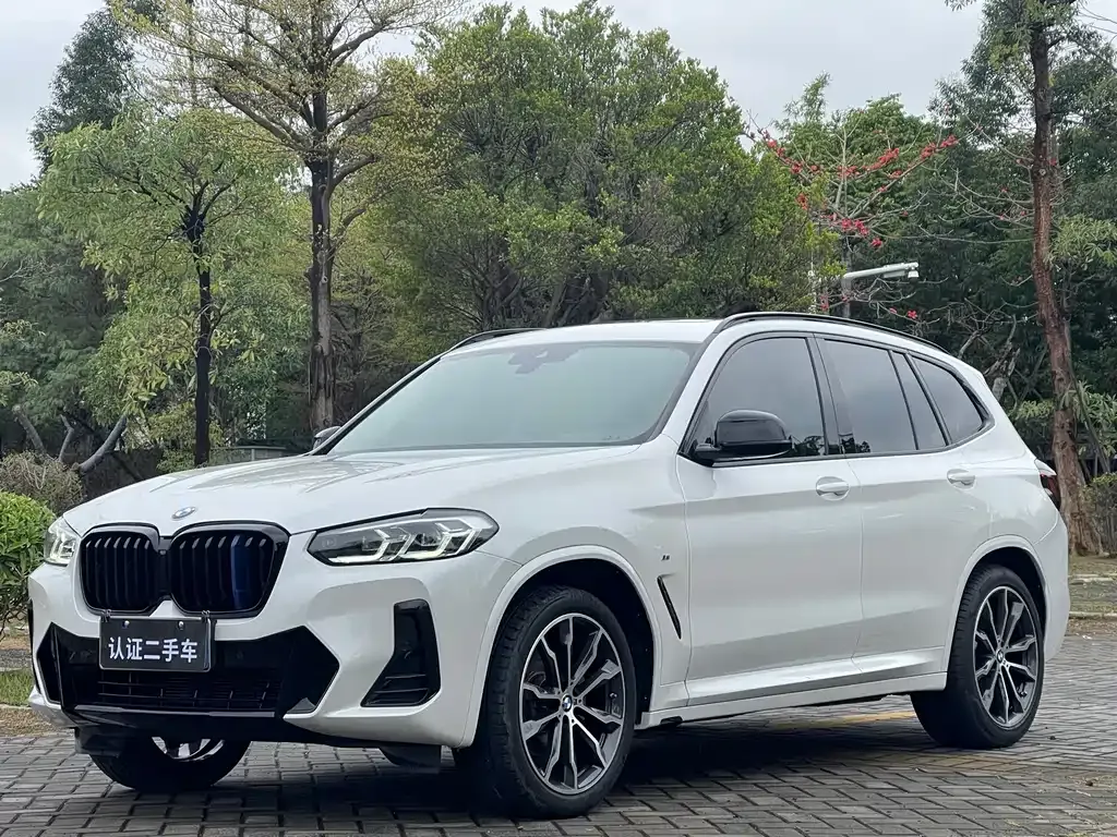 BMW X3 — фото 1