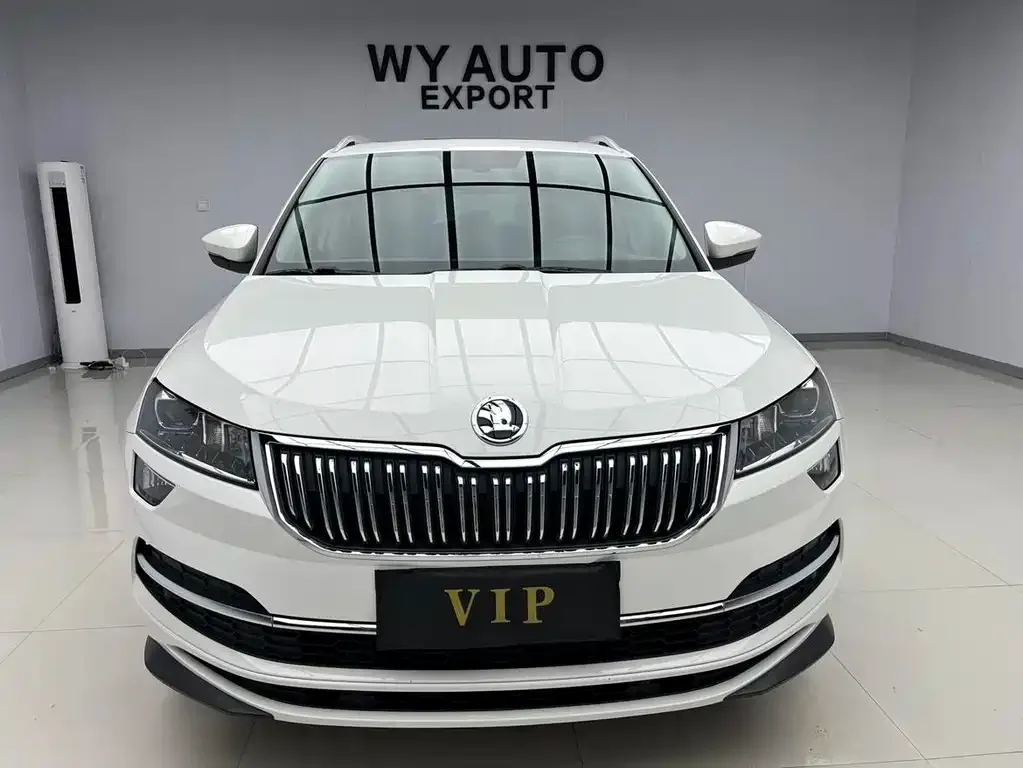 Skoda Karoq — фото 6