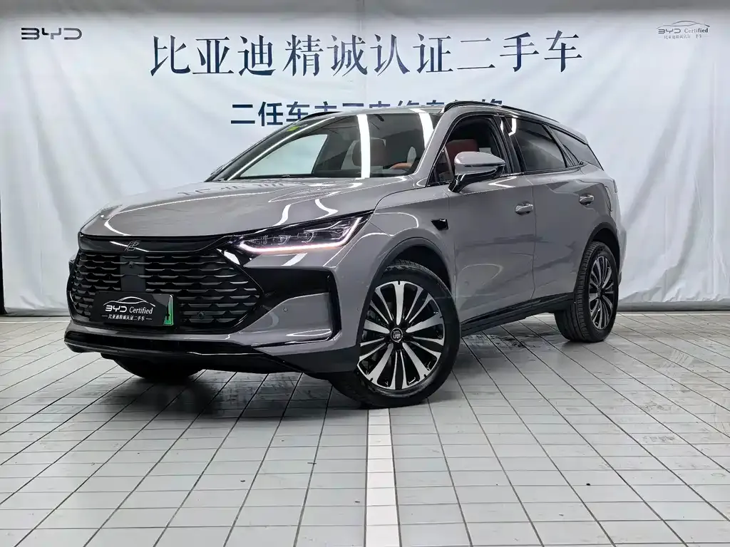 BYD Tang New Energy — фото 1