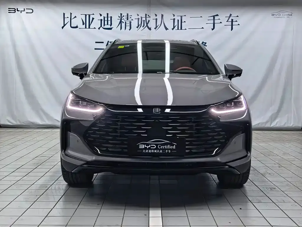 BYD Tang New Energy — фото 10