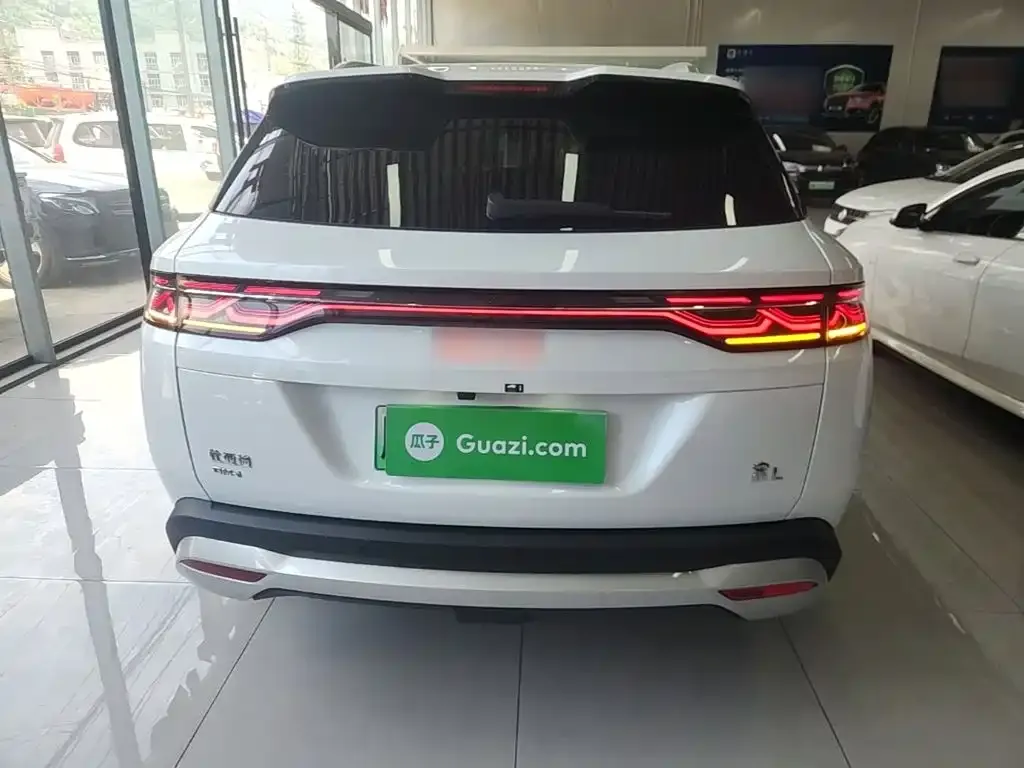 BYD L DM-i — фото 4