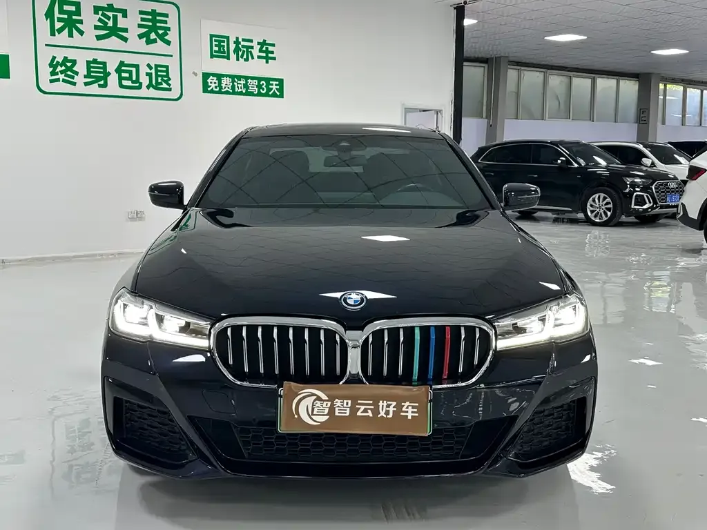BMW 5 Series New Energy — фото 3