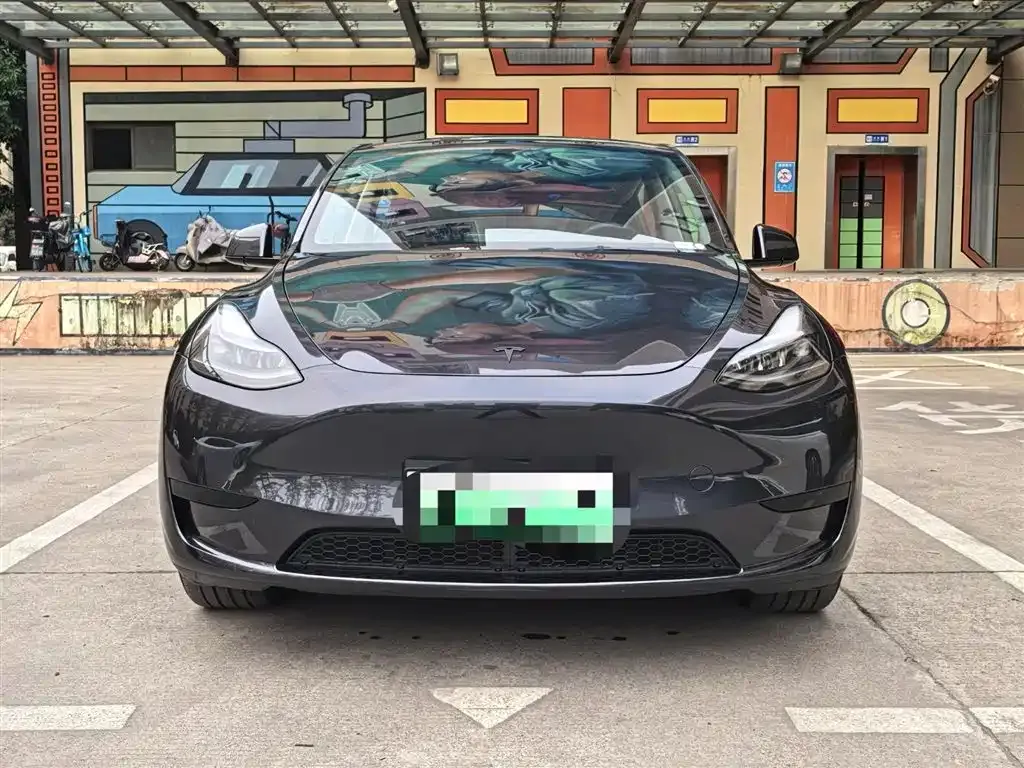 Tesla Model Y — фото 9