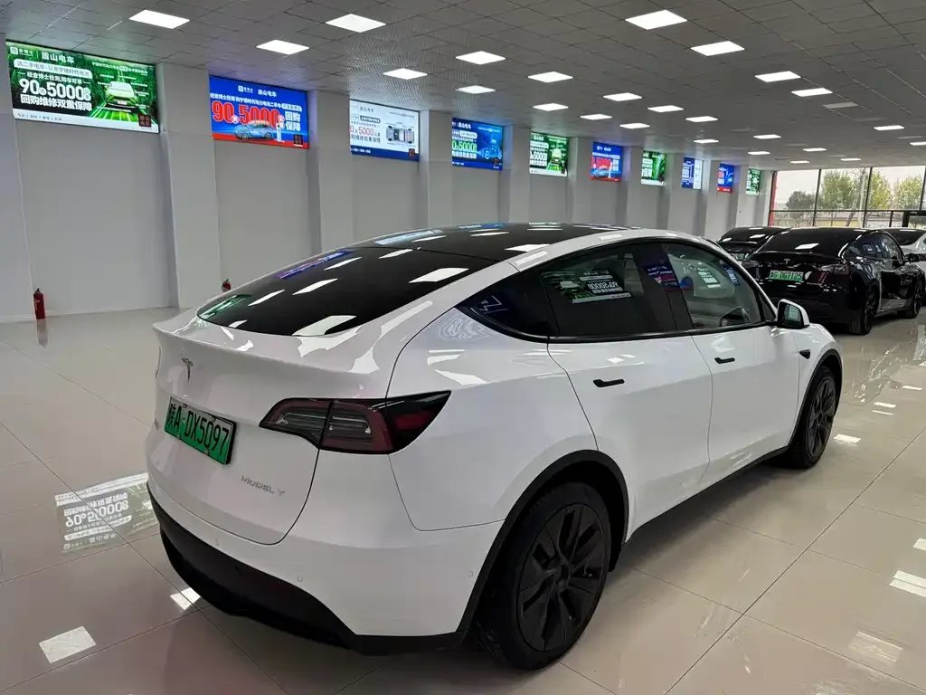 Tesla Model Y — фото 6