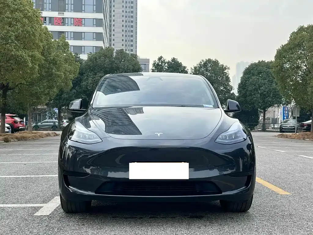 Tesla Model Y — фото 9