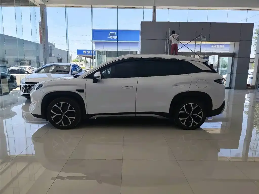BYD L DM-i — фото 9