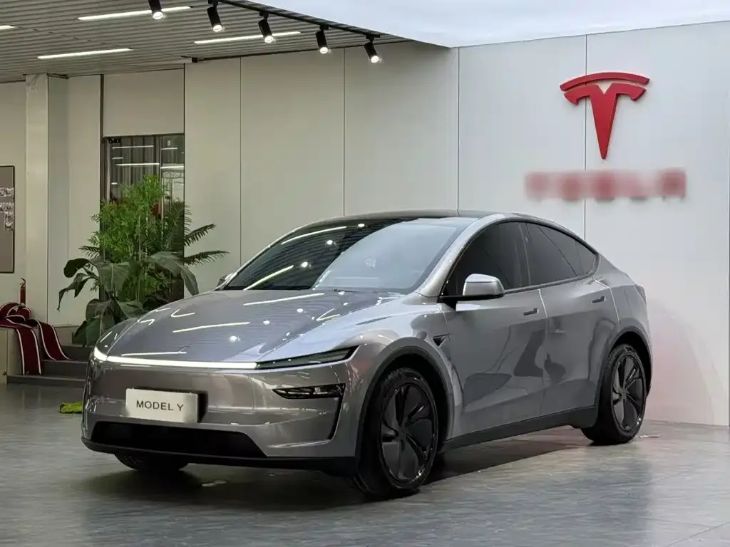 Tesla Model Y — фото 9