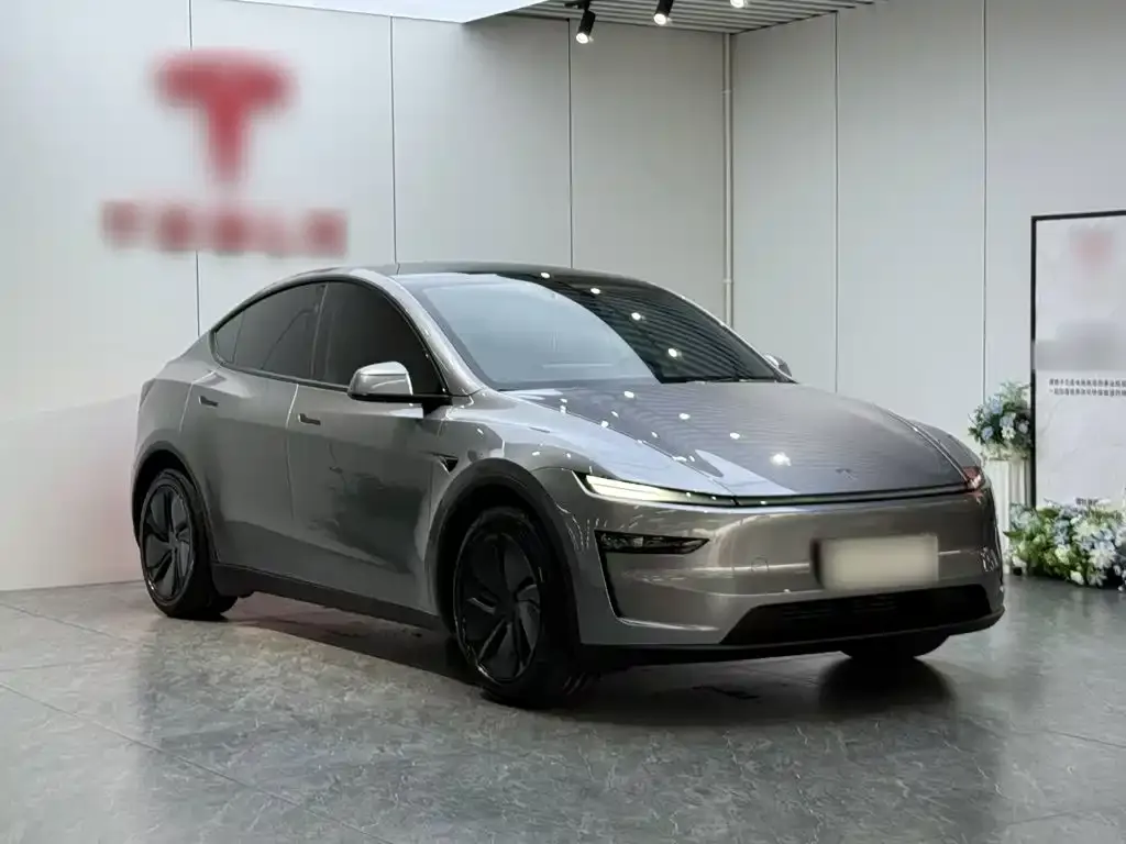 Tesla Model Y — фото 2