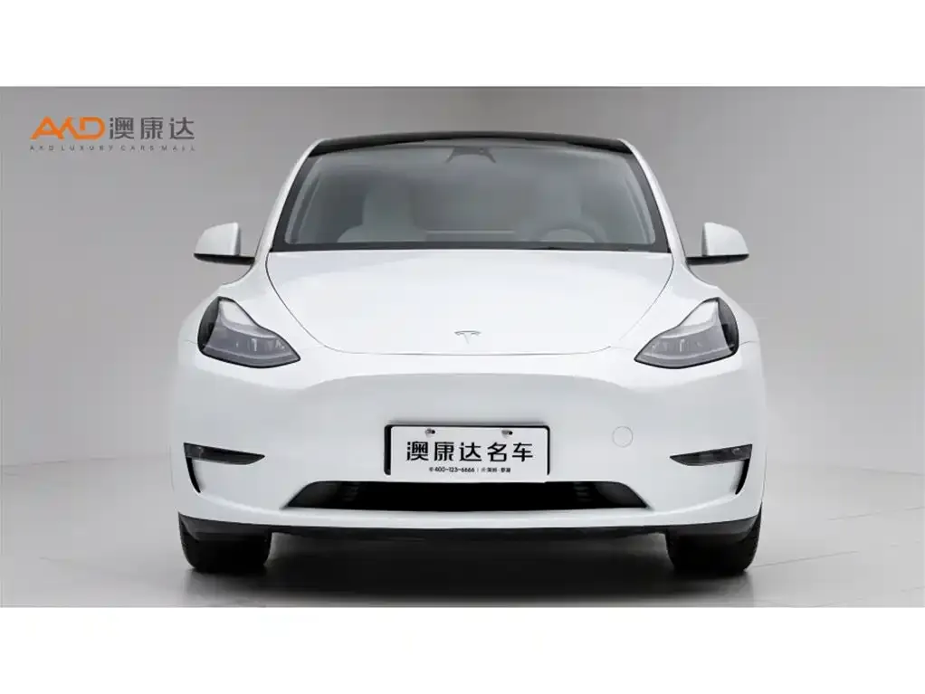 Tesla Model Y — фото 7