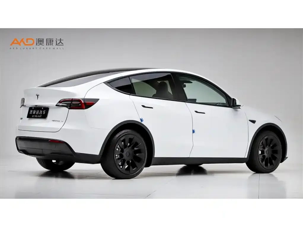 Tesla Model Y — фото 5